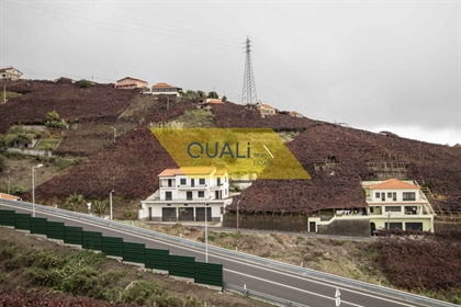 Terreno Rústico com 1798m2 no Estreito Câmara de Lobos - Madeira - € 159.500,00