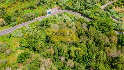 Terreno Rústico em Machico - Madeira - € 27.500,00