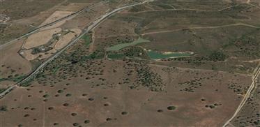 Herdade com empreendimento turistico