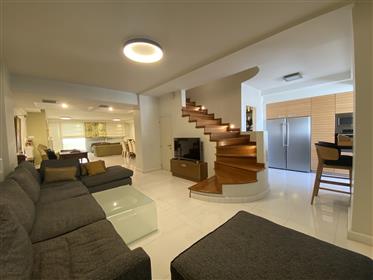 Casa: 240 m²