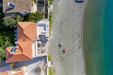202 | Renovated Luxurious Beachfront House