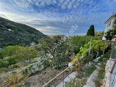Detached house with garden for sale in Sasso di Bordighera.