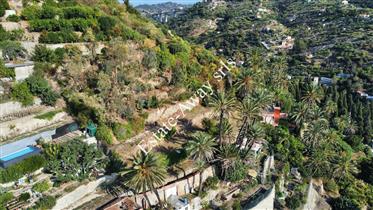 Land with approved project and sea view for sale in Bordighera.