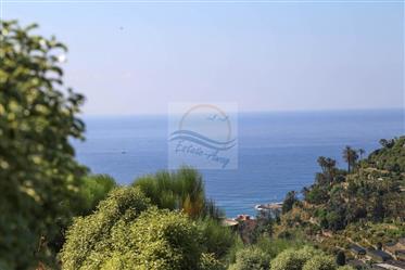 Land for sale in Bordighera with sea view.