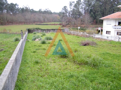 Terreno murado