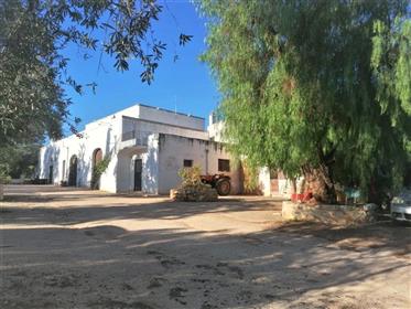 Exciting Masseria- Ready To Move In