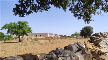 Masseria in Valle D'Itria to develop