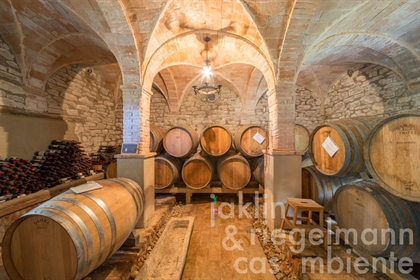 For sale in Emilia Romagna, Italy, a fine wine producer of award-winning Sangiovese wines
