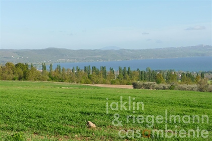 Bauprojekt für einen landwirtschaftlichen Betrieb am Lago di Bolsena mit Blick auf den See