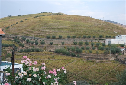 Finca 5 habitaciones Venta em Poiares e Canelas,Peso da Régua