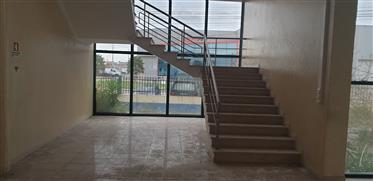 Local comercial: 3149 m²