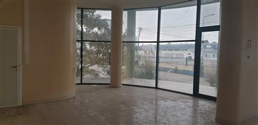 Local comercial: 3149 m²