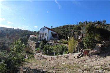 Farm with 3 floors house, pool and amazing views, near Aldeia das Dez