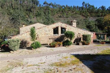 Quinta localizada numa pequena aldeia entre as vilas de Miranda do Corvo e Penela, com boa exposição
