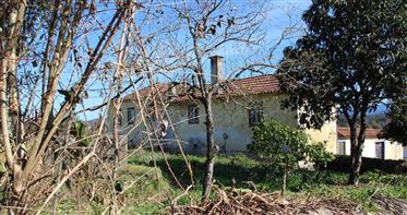 Ferme avec vieille maison, annexes et terrain de 5000m2, à quelques minutes du village de Lousã