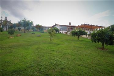 Farm with 3 bedroom villa + annex, swimming pool and stunning views to the Serra da Estrela and Serr