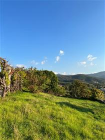 Farm with 2 bedrooms house + annex, with 1.3 hectares of land and wonderful view to the mountains, a
