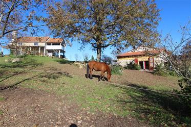 Wonderful farm for horses with arround 5 ha of land and 2 stone houses
