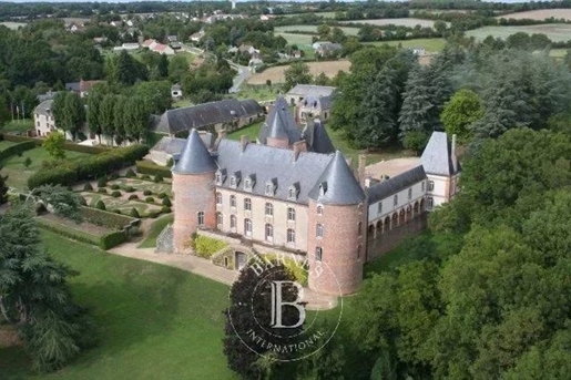 Exceptionnel château XVe Ismh avec 18 hectares en Sologne