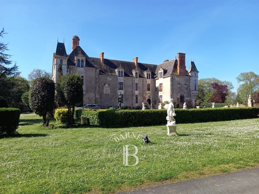 Beautiful 17th century Castle surrounded by 17 hectares not ...