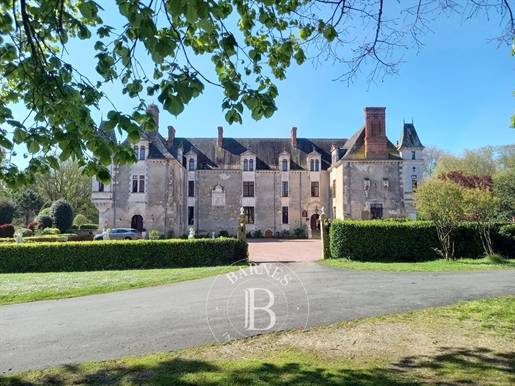 Beautiful 17th century Castle surrounded by 17 hectares not far from the sea.