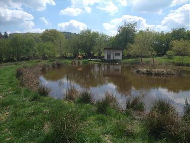 Permaculture homestead with 2 ecological houses and a pond