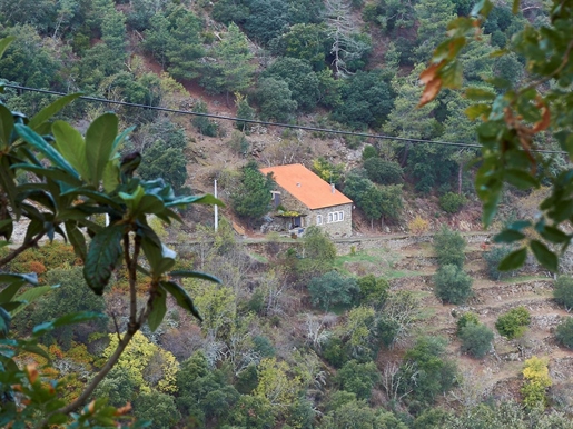 Maison, 2 pièces, Tabuaço, Douro, Viseu