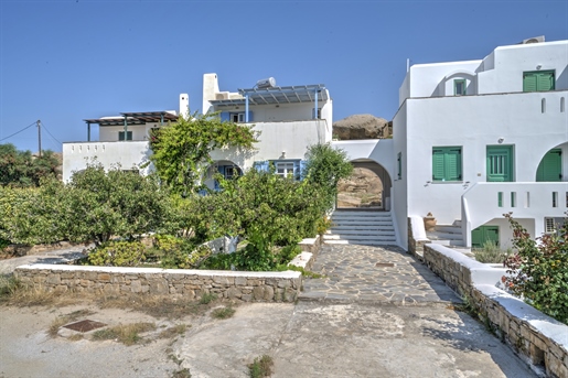 Serene House in Naxos