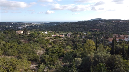 Projekt: Südhang - fantastisches Grundstück mit Meerblick bei Santa Barbara de Nexe