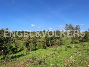 Esta magnífica propriedade de 16ha entre a serra e o mar e com uma vista infinita onde é p