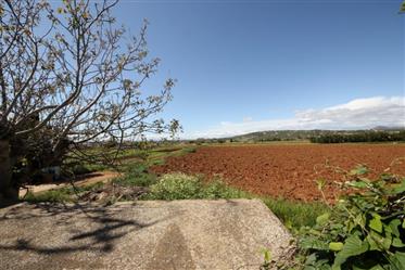 Opportunite ,Finca a Mallorca , Manacor