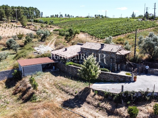 Rural farm with 16.000m2 with schist house