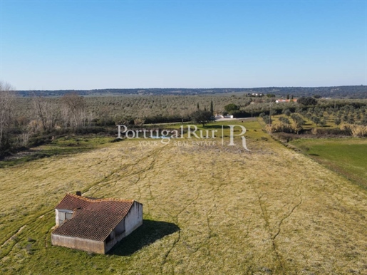 Farm with 29 hectares in Avis
