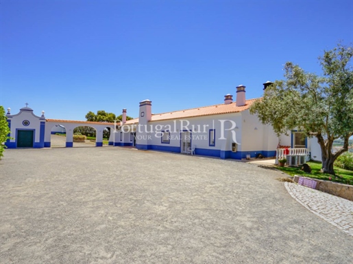 Excellent property consisting of villa with swimming pool, gardens, ample land and private