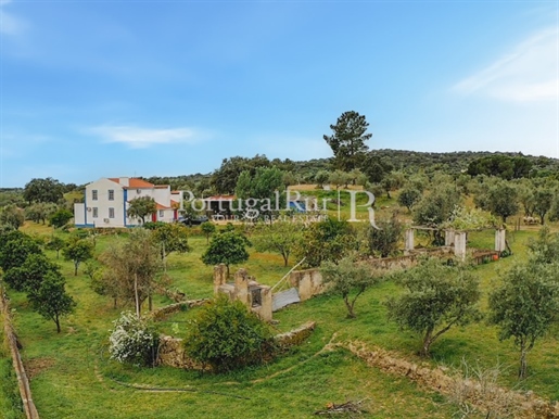 Farm with 10 rooms rehabilitated Very special refuge located in the city of Portalegre, ju