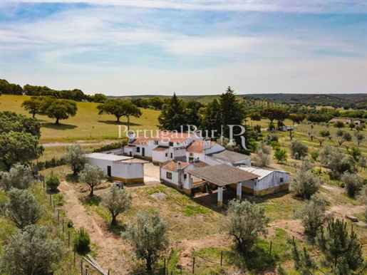 Farm with 6.5 hectares with house and annexes in Avis - Alentejo