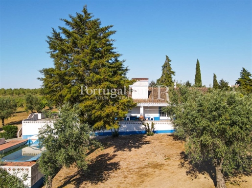 Property with 18 ha with 2 houses, vineyard and olive grove in Avis area