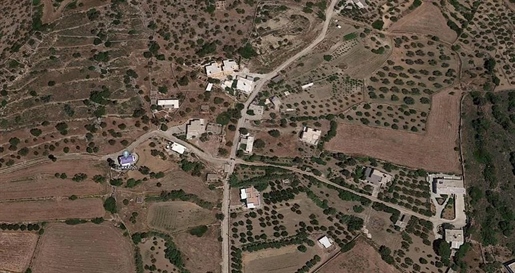 Paros plot 1,700 sq.m., 4 olive trees, within the city plan, sloping, building factor 0.4, even, bui