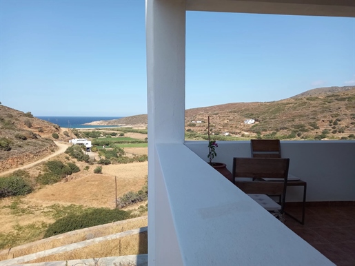 Two three-level detached houses overlooking the Atenios valley in Andros island.