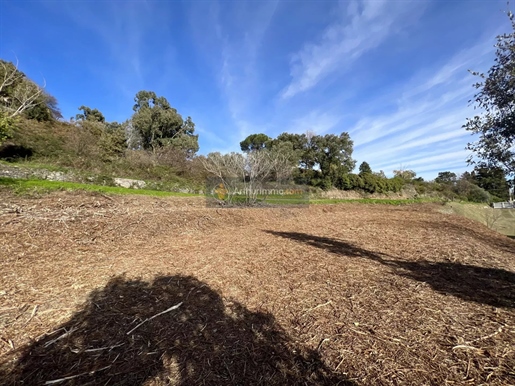 Terrain constructible avec vue mer
