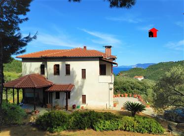 For sale detached house in Paltsi southern Pelion