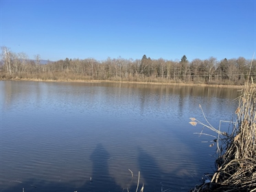 Vente étang Evette Salbert, Territoire de Belfort, 128 000 euros