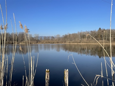 Vente étang Evette Salbert, Territoire de Belfort, 128 000 euros