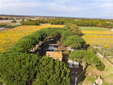 On the border between Umbria and Tuscany, in the immediate v...
