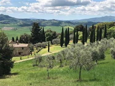 Casolare autentico con 1 ha di terreno nella campagna tra Gambassi Terme, Volterra e San Gimignano