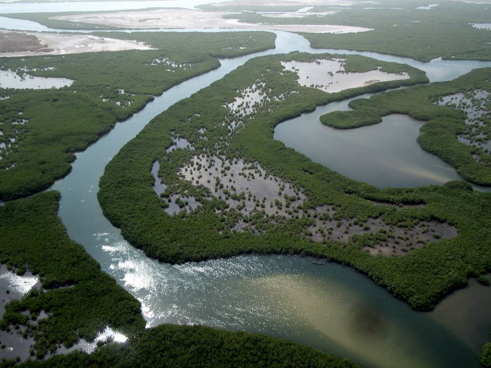 Самая полноводная река материка африки. Излучина реки нигер. Река Луалаба. Река Сенегал. Дельта реки нигер.