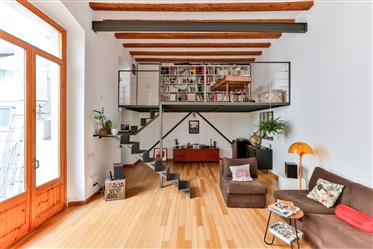 Fantastic renovated Loft with a private terrace