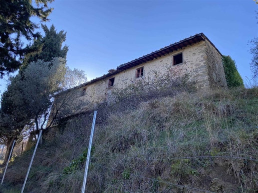 Greve In Chianti (Fi), vicinity: immersed in the Tuscan hills only 15 minutes from Florenc