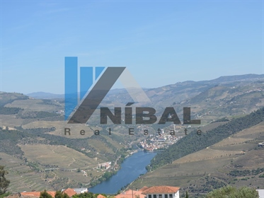 Farm in Pinhão with views of Douro River and Pinhão. Tourist area par excellence. Project approved f