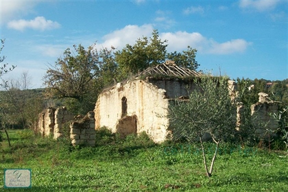 Old farm to rebuild with nearly 8 hectares of olive grove and 250 m2 of property Filandri-